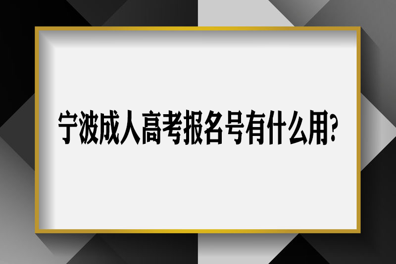 宁波成人高考报名号有什么作用？